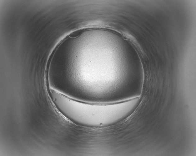 X0000059091288200510101135