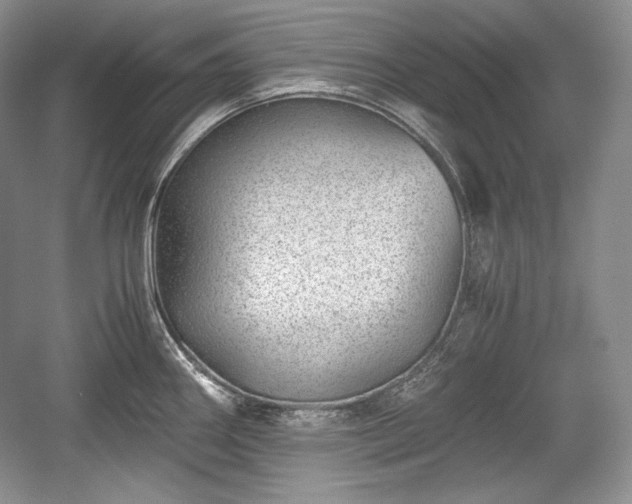 X0000059091290200510101135