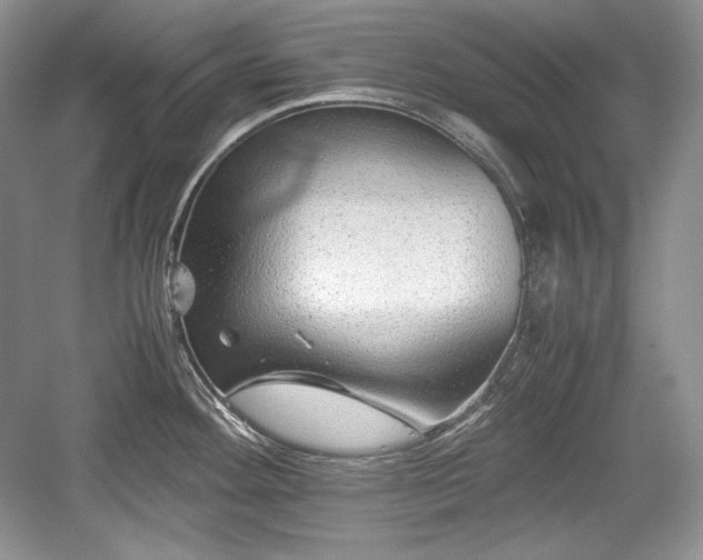 X0000059091292200510101135