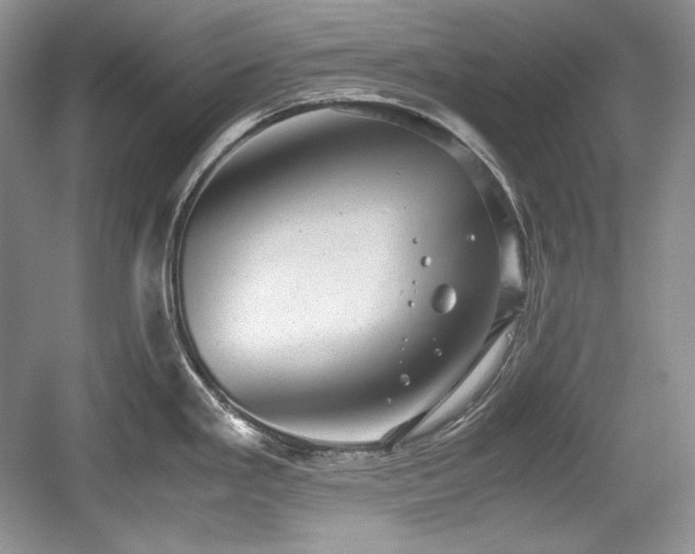 X0000059091293200510101135