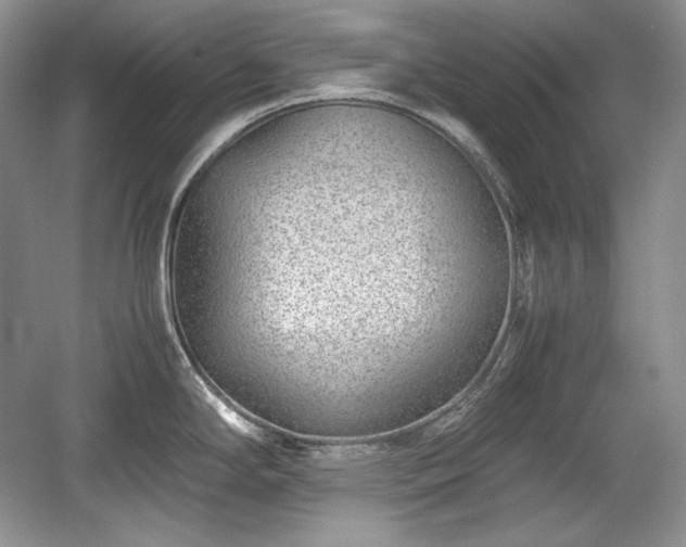 X0000059091294200510101135