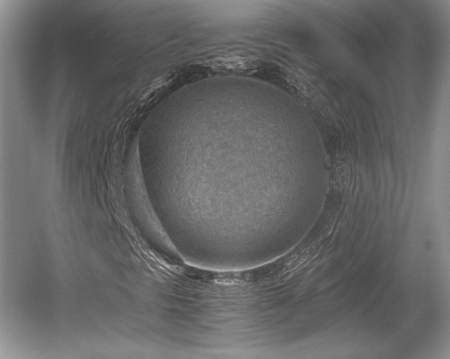 X0000059091297200510101134