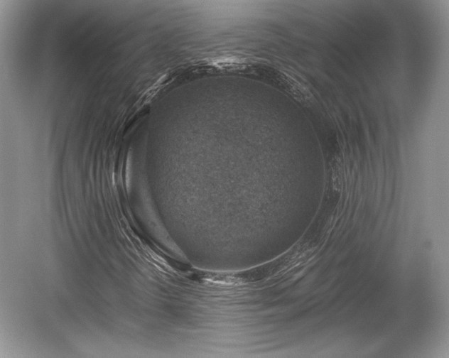 X0000059091298200510101134