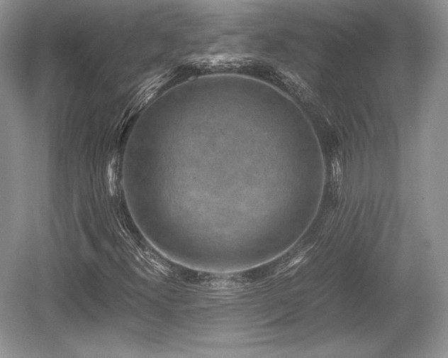 X0000059091300200510101134