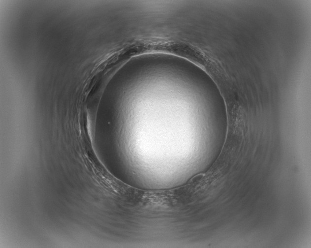 X0000059091301200510101134