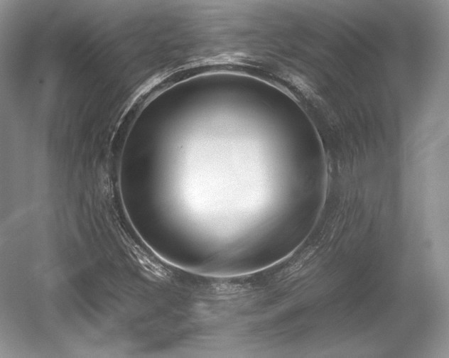 X0000059091308200510101134