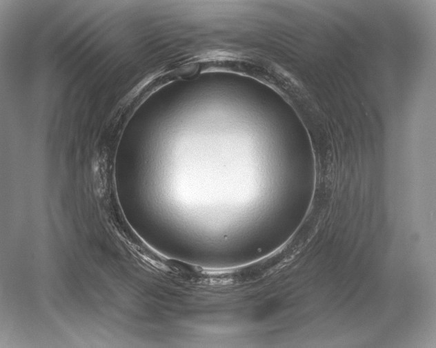 X0000059091313200510101134
