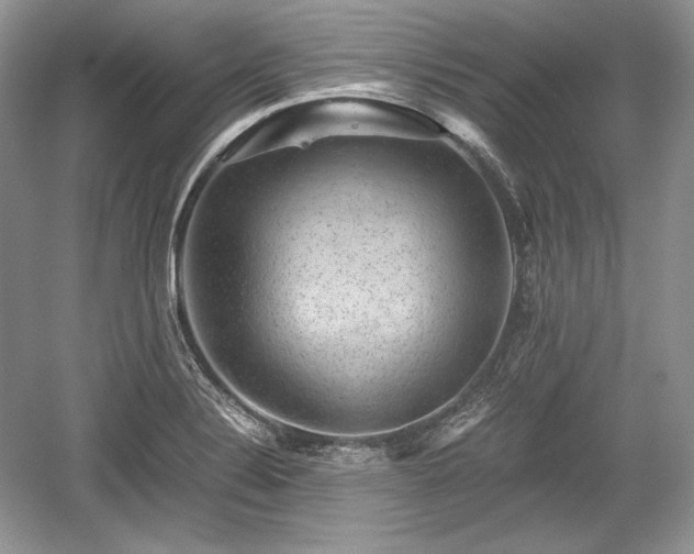 X0000059091324200510101134