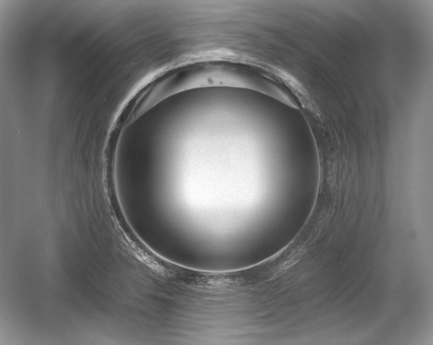 X0000059091326200510101134