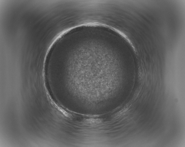 X0000059091327200510101134