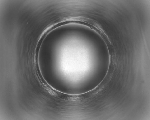 X0000059091328200510101134