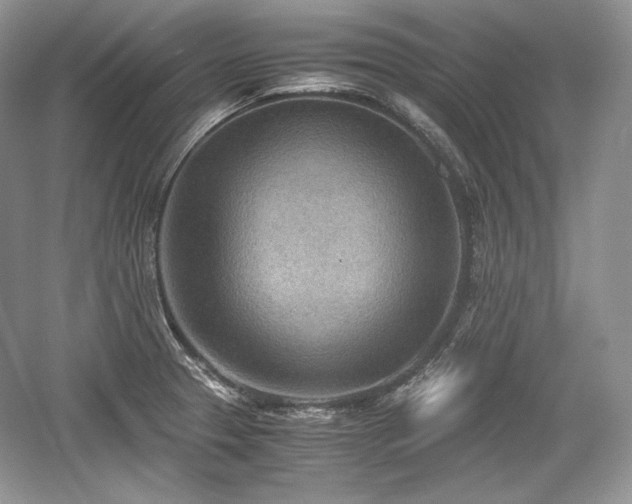 X0000059091329200510101134
