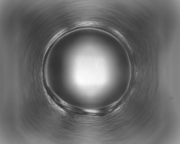 X0000059091330200510101134