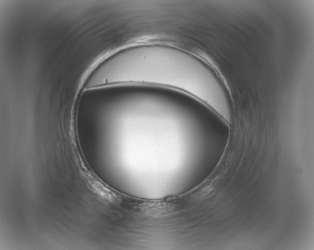 X0000059091336200510101134