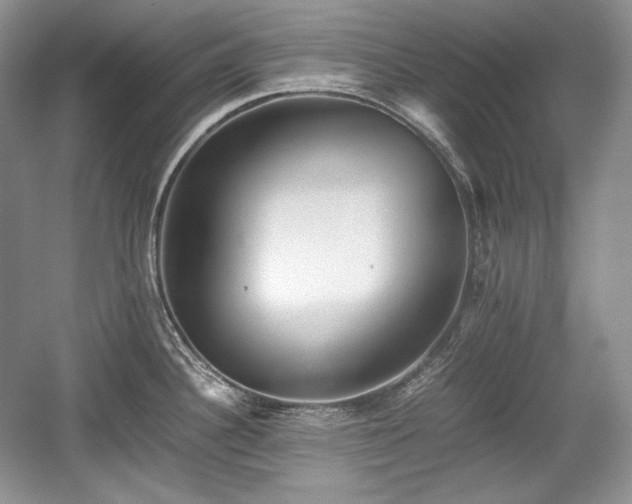 X0000059091340200510101134