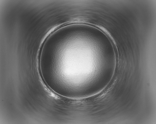 X0000059091341200510101134