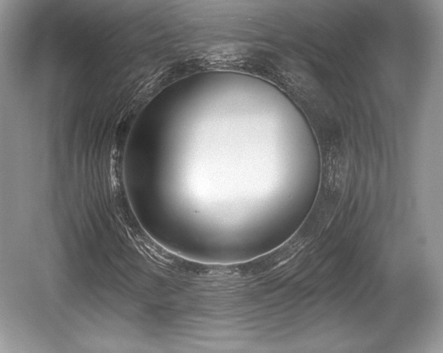 X0000059091346200510101134