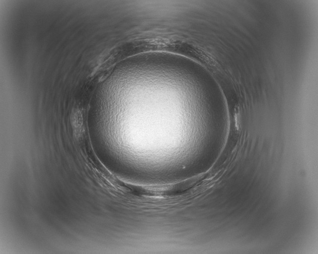 X0000059091347200510101134