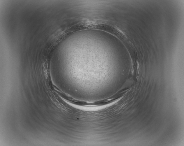 X0000059091348200510101134