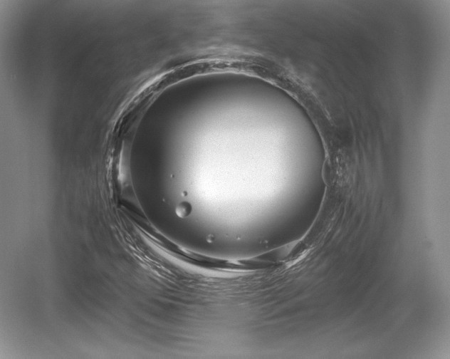 X0000059091352200510101134