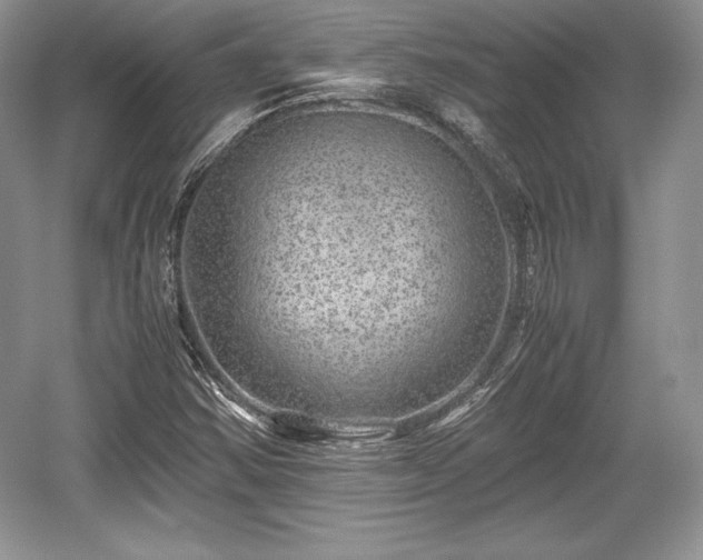 X0000059091354200510101133