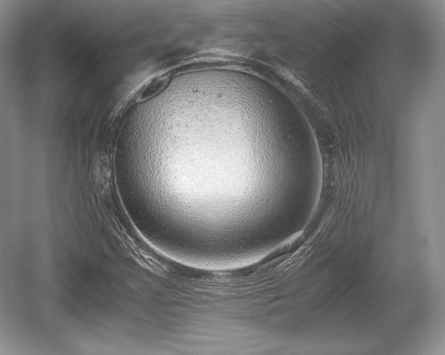 X0000059091355200510101133