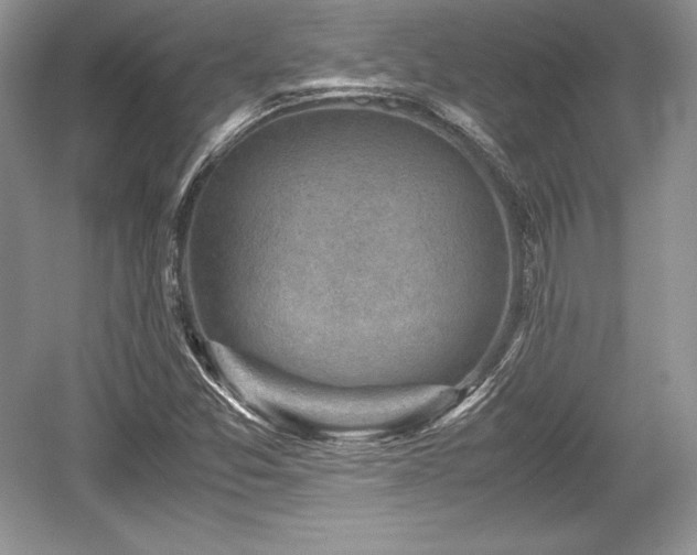 X0000059091357200510101133