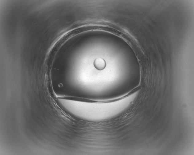 X0000059091360200510101133