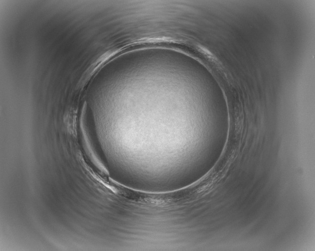 X0000059091361200510101133