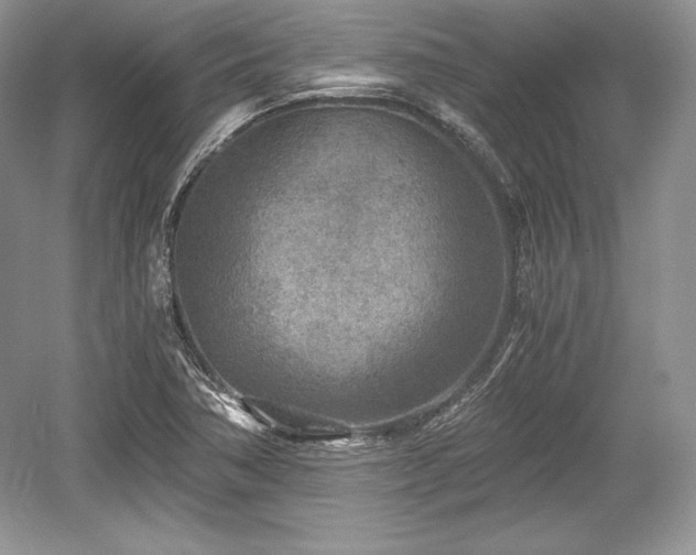 X0000059091362200510101133