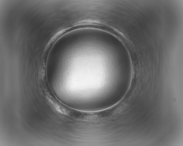 X0000059091363200510101133