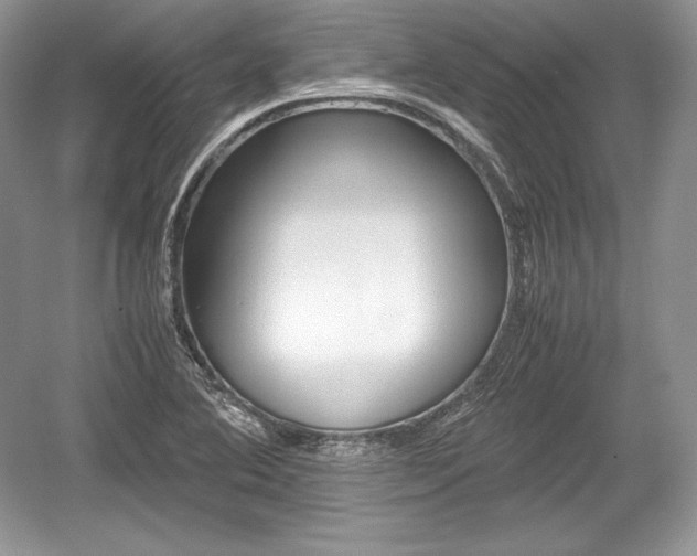 X0000059091364200510101133