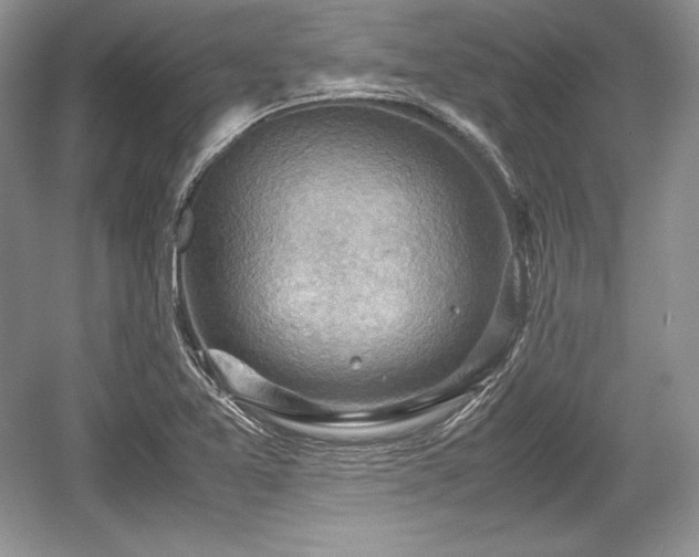X0000059091365200510101133