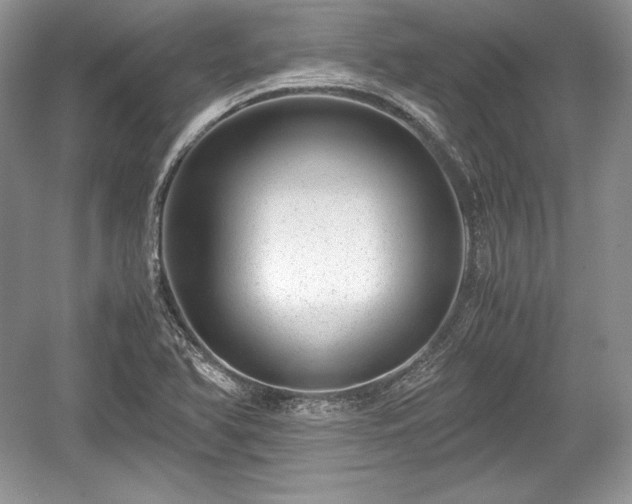 X0000059091366200510101133