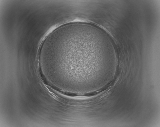 X0000059091367200510101133