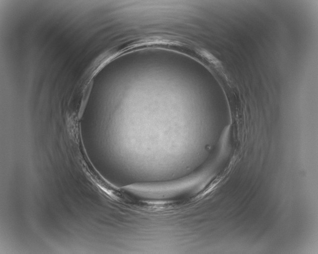 X0000059091369200510101133