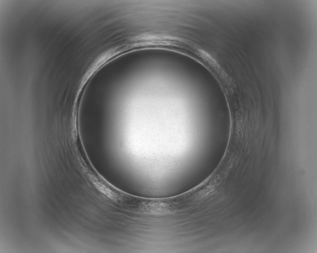 X0000059091370200510101133