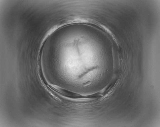 X0000059091373200510101133