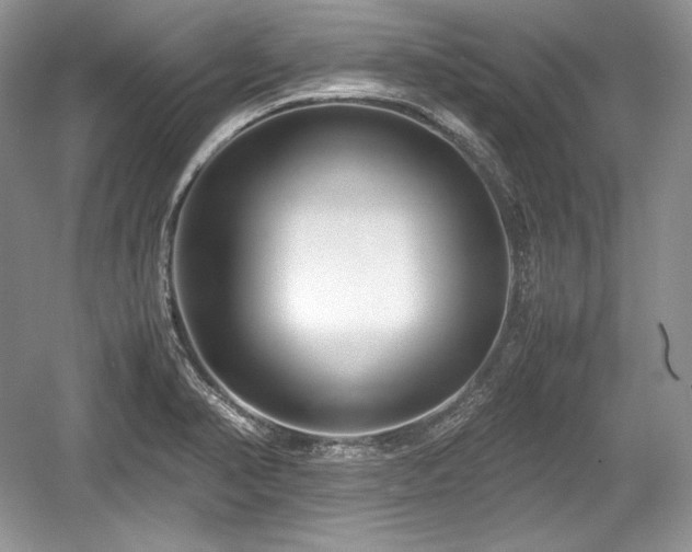 X0000059091374200510101133