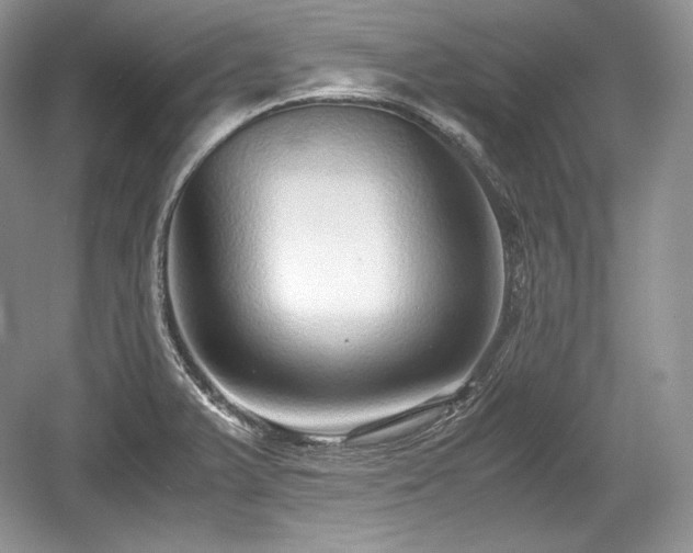 X0000059091375200510101133