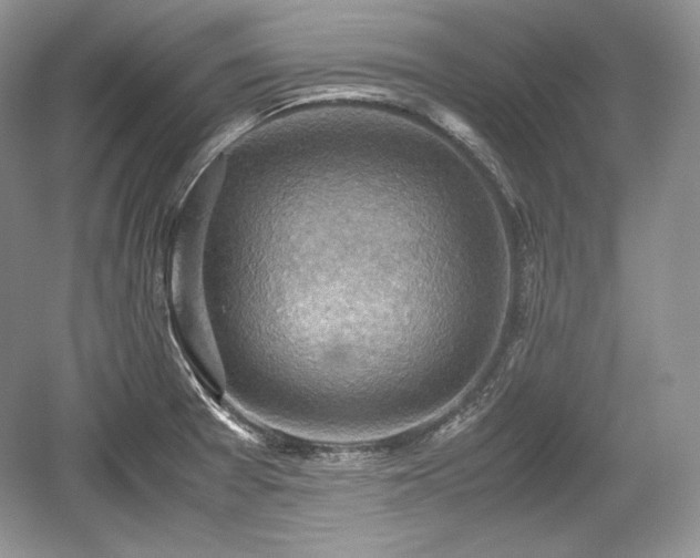 X0000059091377200510101133