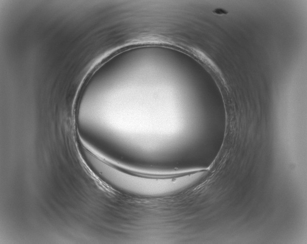 X0000059091380200510101133