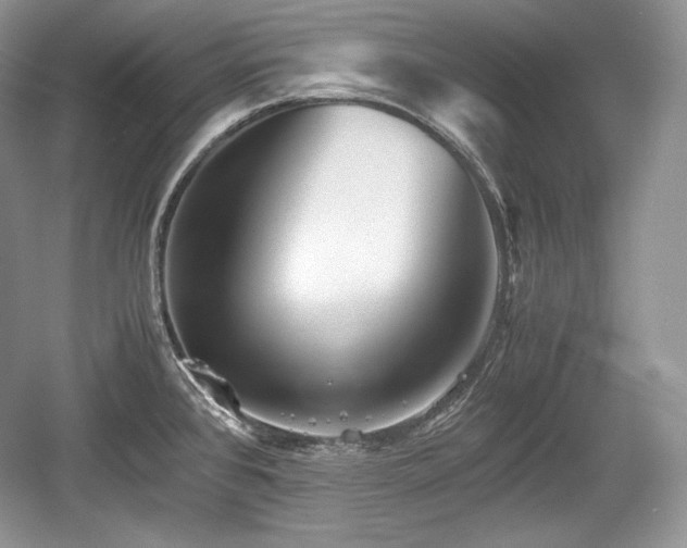 X0000059091384200510101133