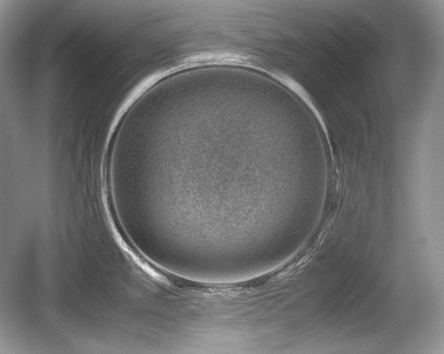 X0000059091389200510101133
