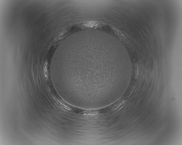 X0000059091394200510101132