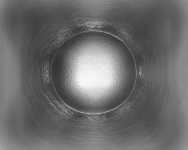 X0000059091396200510101132