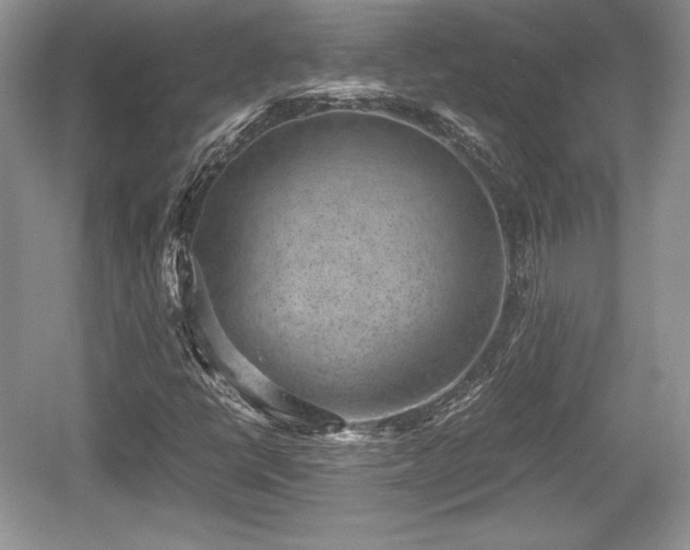 X0000059091398200510101132