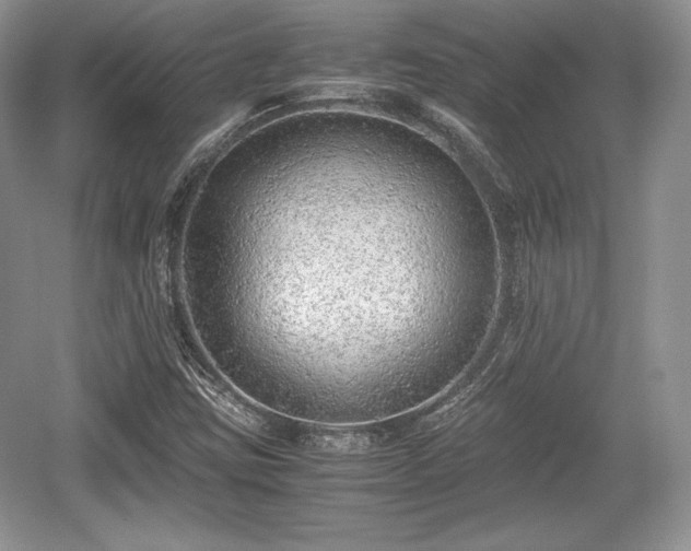 X0000059091403200510101132