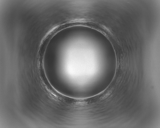 X0000059091406200510101132