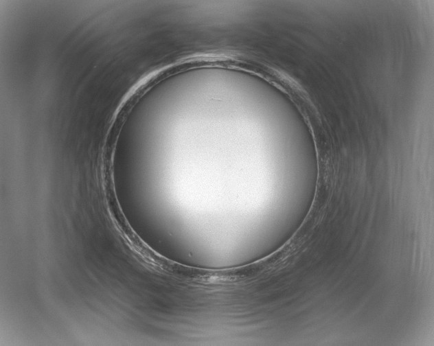 X0000059091412200510101132